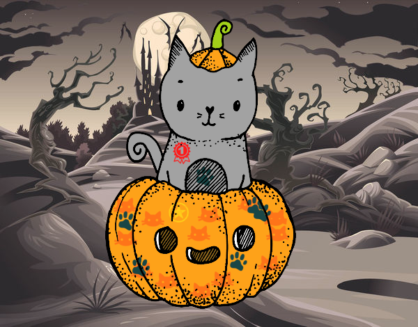 Un gatito de Halloween