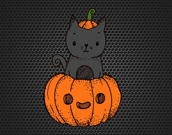 Un gatito de Halloween