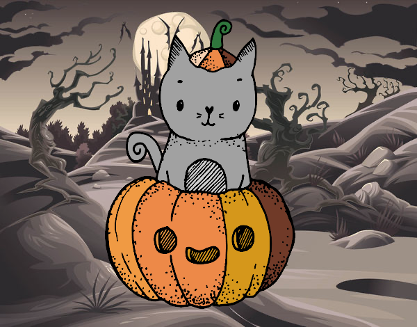 Un gatito de Halloween