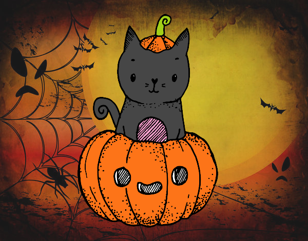 Un gatito de Halloween