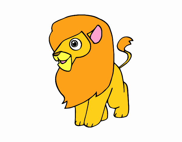 Un león