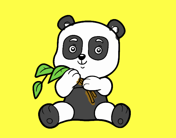 Un oso panda