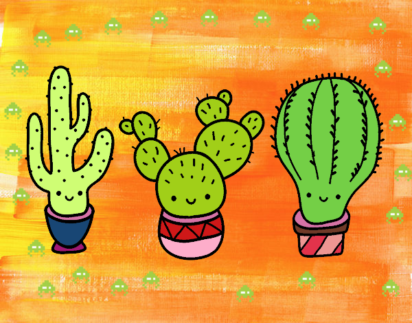 3 mini cactus