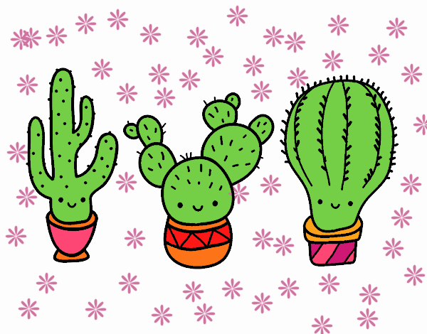 3 mini cactus