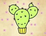 Cactus nopal