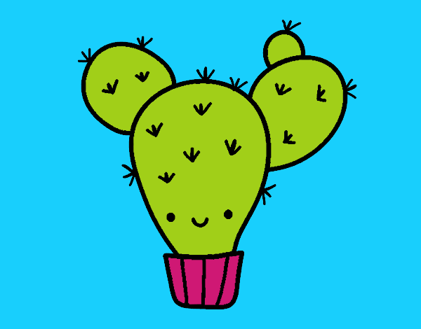 Cactus nopal