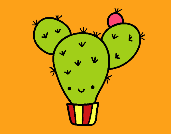 Cactus nopal