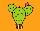 Cactus nopal