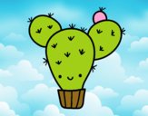 Cactus nopal