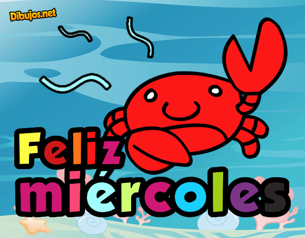 feliz miercoles