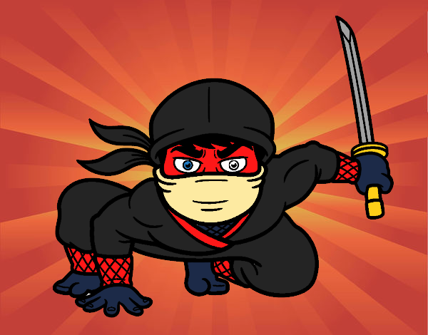 Ninja habil