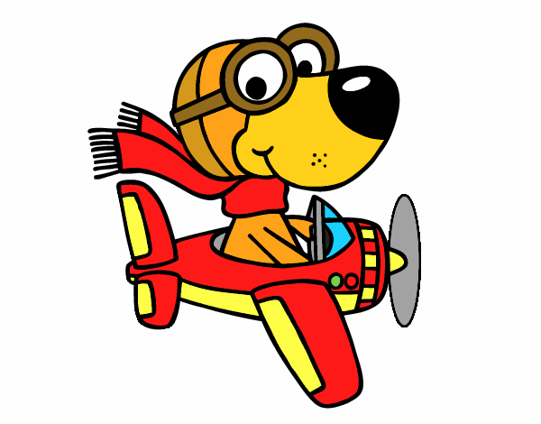 Perro piloto