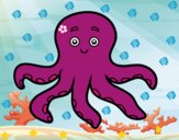 Pulpo infantil