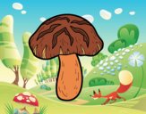 Seta shiitake