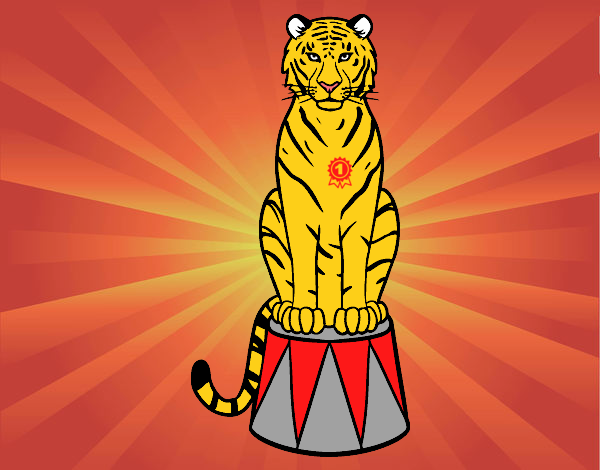 Tigre de circo