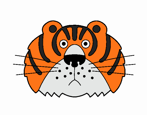 Tigre III