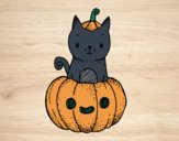 Un gatito de Halloween