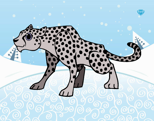 Dibujo de Leopardo de Nieve pintado por en  el día 03-11-20 a  las 18:21:07. Imprime, pinta o colorea tus propios dibujos!