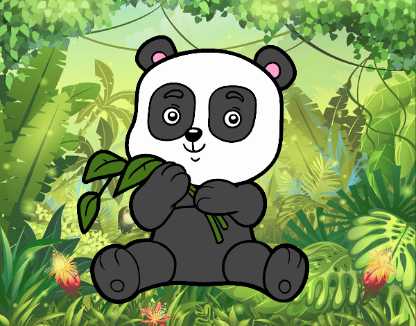 Un oso panda