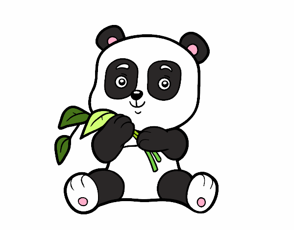 panda