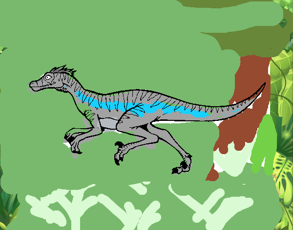 Velociraptor