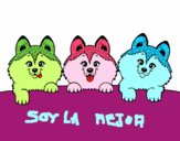 3 perritos