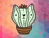 Cactus gato