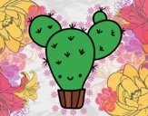 Cactus nopal