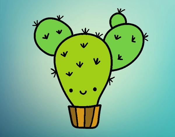 Cactus nopal