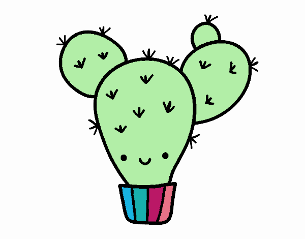 CACTUS KAWAI