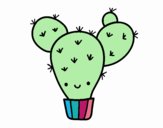 Cactus nopal