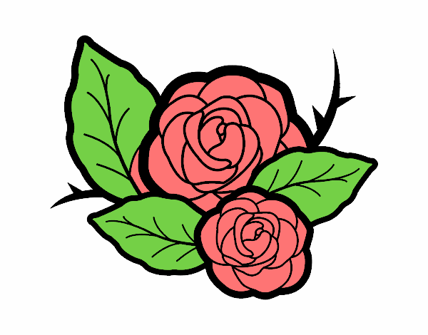 Dos rosas