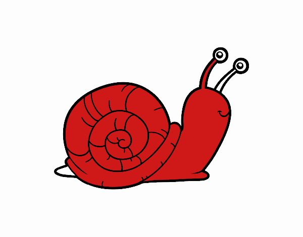 El caracol