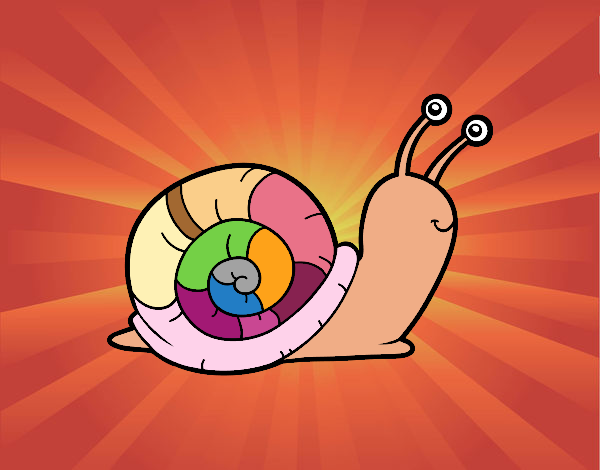 El caracol