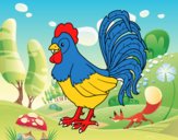 Gallo de una granja