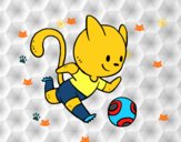 Gato jugando a fútbol