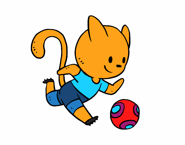 Gato jugando a fútbol