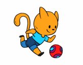 Gato jugando a fútbol