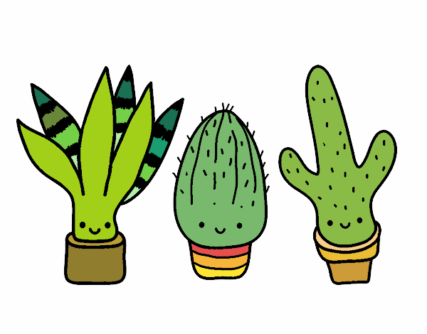 los E cactus