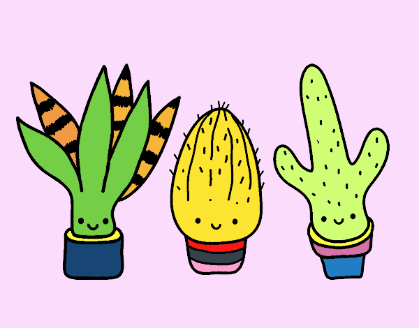 Amor por los cactus