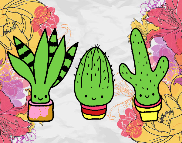 cactus floresente 