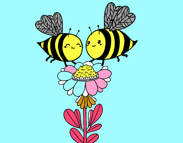 Pareja de abejas