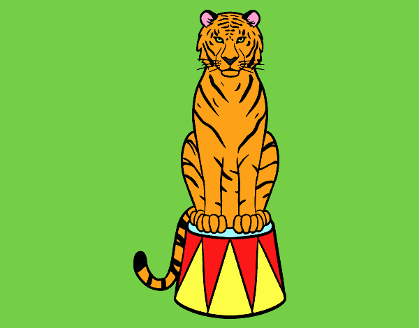 Tigre de circo