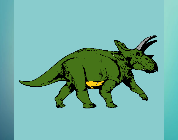 Triceratops 1