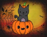 Un gatito de Halloween