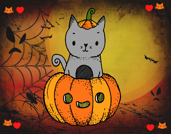 Un gatito de Halloween