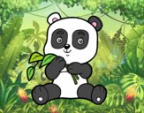 Un oso panda