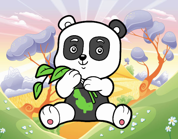 Un oso panda