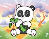 Un oso panda