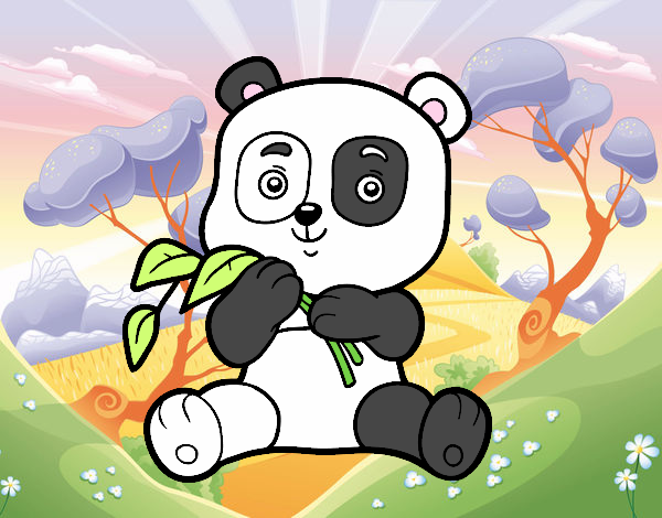 Un oso panda